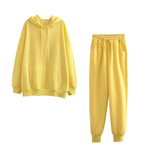 Tangada 2021 Autumn Winter Women tracksuit thick fleece