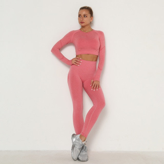 Seamless Women Sport Set For Gym Long Sleeve Top High